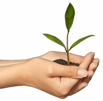 Hand-seed Linke Seite